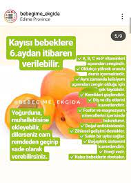 alinti bebeklere kayisi ne zaman verilir kayisi kayis dogal