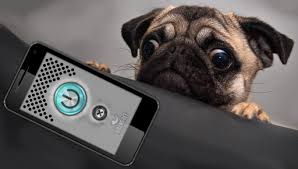 Ultrasonic bear bell, helps to prevent encounters with wild bears by emitting loud ultrasonic signals. Download Ultrasonic Generator Free For Android Ultrasonic Generator Apk Download Steprimo Com