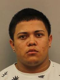 Man found shot to death in South Nashville field ID'd