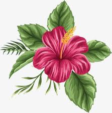 Pin On Flowers Drawings
