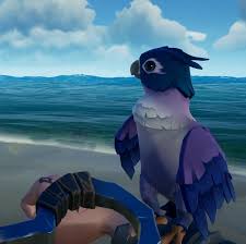 These are pets with special effects or skins that cannot be equipped with pet outfitsregardless of their species or breed. Psa Don T Buy Two Parrots To Keep Each Other Company You Can Only Equip One Seaofthieves
