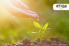 An accident might just turn your family life upside down in a blink of an eye. Etiqa S Travel Insurance Covers Cost Of Covid 19 Treatment The Edge Markets