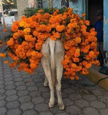 Pin By Wendy On Border South Mexico Culture Mexico Day Of The Dead Mexican Art