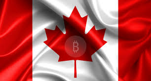 But bitbuy is one of them, and probably the best way to buy bitcoin for canadian residents. How To Buy Bitcoin In Canada 2021 A Comprehensive Guide