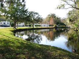 Homosassa River Rv Resort At Homosassa Florida United States Passport America 50 Discount Camping Club Florida Campgrounds Rv Resort Rv Parks In Florida