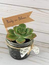 Pin By Flora Bosdalian On Babies In 2021 Shower Plant Baby Shower Favors Baby Shower Decorations