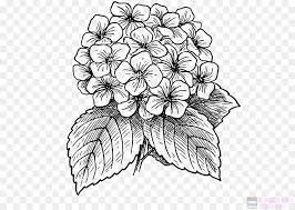 Si quieres dibujar y no tienes idea que dibujar, aquí en esta oportunidad te queremos regalar imágenes con dibujos animados bonitos de color y para colorear, para que puedas dibujarlos cuando quieras. áˆ Dibujos De Flores Top Faciles Para Colorear
