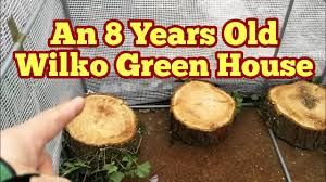 Maybe you would like to learn more about one of these? An 8 Years Old Wilko Plastic Green House Setting Up Review Tips To Help It Last Youtube