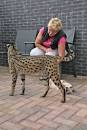 F1 thru F5 Savannah Cat Size Guide | African Cats ...