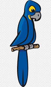 Touch device users, explore by touch or with swipe gestures. Parrot Blue And Yellow Macaw Bird Scarlet Macaw Heron Blue Cartoon Png Pngegg