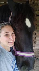 🐴 Meet ARTY: Seeking his own best friend & family OR lesson program😁❤️!!!  Let me start by saying : He is SOUND & healthy & road ready!! We even have  multiple shippers