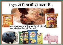 Lays Chips Consists Of E631 Pig Fat Want Proof Search E631 On Google