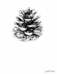 Epingle Par Becky Delicata Sur Illustrations Illustrations D Encre Art Et Nature Pomme De Pin Dessin