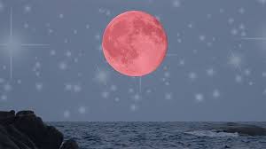 The final full moon of 2020 is in water sign cancer, and is being called the cold moon. read up on what full moons mean for you and how this cold moon in cancer might affect the end of the year 2020. The New Moon In Cancer On June 20 2020 Prepare To Get Emotional Stylecaster