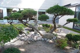 10 Small Japanese Garden Ideas Small Japanese Garden Japanese Garden Japanese Maple Tree Garden