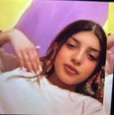 O adolescentă de 15 ani a fost dată dispărută în Alba