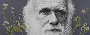 Charles Darwin Paintings for Sale