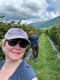 🍑 It's a peachy keen time to visit Chiles! In addition to #PickYourOwn  peaches, we've got peach #ciderdonuts, jarred peach goods, peach soft  serve, and peach cider by the jug.