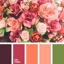 Check spelling or type a new query. Coral Color Color Palette Ideas