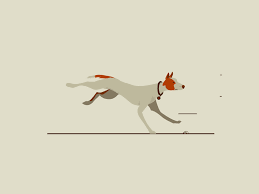 Running Dog Video Video Dog Animation Motion Design Animation Animated Drawings