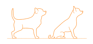 Free Free 336 Long Haired Chihuahua Svg Free SVG PNG EPS DXF File
