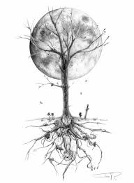 Magnifique Arbre En Dessin Arbre Dessin Simple Chene Dessin La Lune Abstrait Dessin Noir Et Blanc Dessin Arbre Tatouage D Arbres Branche D Arbre Tatouage