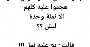 نكت مكتوبة مصرية قديمة وجديدة هتنسيك همومك math arabic calligraphy calligraphy