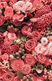 Pin By Apostle Paulette Barrett Olive On Oboi Dlya Zablokirovannogo Ekrana Spring Wallpaper Pink Wallpaper Iphone Flower Phone Wallpaper