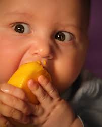 When Babies Rule the Dinner Table