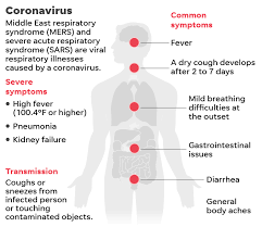 Image result for coronavirus