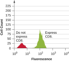 Fluorescent Antibody Techniques Microbiology