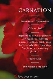 Unusual Nice Flowers In 2020 Carnation Flower Meaning Funeral Flowers Carnation Flower
