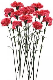 Flowers for sale online the sale flowers assorted here all come with a freely included message card that you can personalize. Artificial Single Carnation Stems Set Of 15 Dark Pink Artificial Flowers Flowers Online Carnation Flower