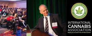 Dan Humiston: Creating the International Cannabis Association