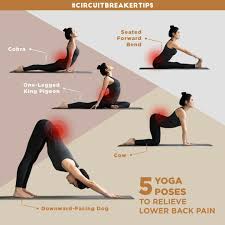 Pin On Exercise