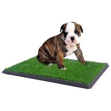 We did not find results for: Coziwow Large 30 X20 Puppy Pee Pad Dog Potty Pad Mat Grass Indoor Outdoor Home Pet Training Pads Walmart Com Walmart Com