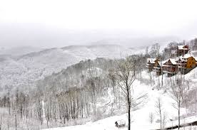 Aspen creek cabin and the surrounding wilderness areas offer exclusive viewing of: Top Asheville Cabin Vacation Mountain Rentals North Carolina Cabins North Carolina Mountains Cabins North Carolina Cabin Rentals
