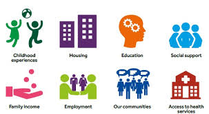22.09.2021 · speech, language & hearing clinic. The Sum Of The Parts Social Determinants Of Health Texas Impact