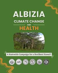 Image result for Albizia falcataria