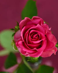 Edna Fay Kelley Obituary January 9, 2022