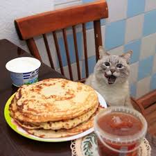 #pancakes with a shovel , #pancakes with a shovel , #carnival , #with a shovel , #shovel. What Does This Picture Of A Cat With Pancakes Say To You Neogaf