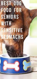 Best Dog Food For Senior Dogs With Sensitive Stomachs Blog Um Best Dog Food Dog Food Recipes Senior Dogs Care