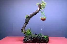 Plug the drain hole of a large glazed ceramic or resin planter with plumber's epoxy putty. 12 Awesome Diy Indoor Waterfall Ideas Balcony Garden Web