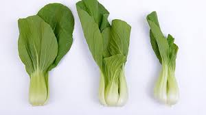 Sayangnya 95,4% penduduk indonesia kurang mengonsumsi buah dan sayuran, sehingga berisiko kurang asupan serat dan beragam nutrisi penting lainnya. 4 Jenis Sawi Kandungan Nutrisi Dan Manfaatnya Bagi Tubuh