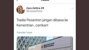 Image result for zara zettira