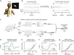 Effect of detector with the best correlator design in standard deviation. Correlation Detection As A General Mechanism For Multisensory Integration Nature Communications