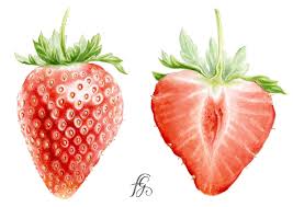 Voir plus d'idées sur le thème fruits et légumes, dessin fruits, fruits. Epingle Sur Aquarelles Botaniques