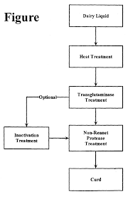 27 proper flow chart of cheese