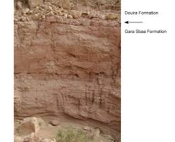 Image result for Sandstone Beige 1982 Fleet