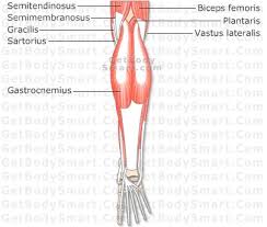 This is an online textbook about the human body and physiology that allows anyone that is interested in the human body to have an interactive learning experiences. Pin On College Life